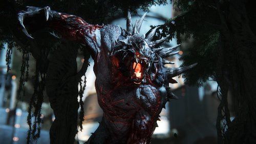 Evolve (AT)