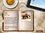 Safari Quest