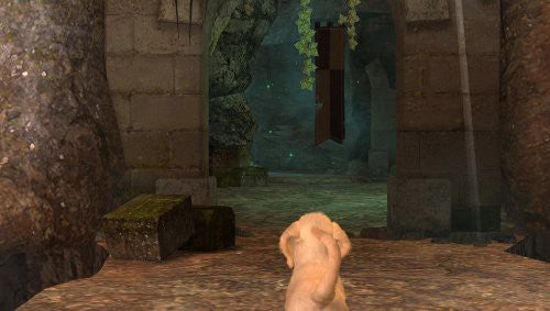 Pets (DE)