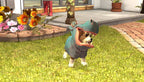 Pets (DE)
