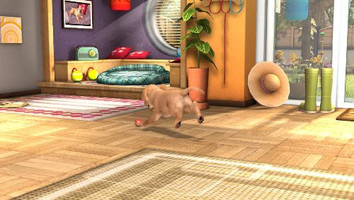 Pets (DE)