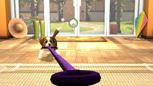 Pets (DE)
