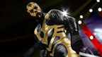 WWE 2K15 (DE)