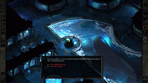 Icewind Dale — Enhanced Edition