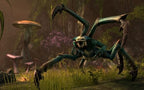 The Elder Scrolls Online: Tamriel Unlimited (AT)