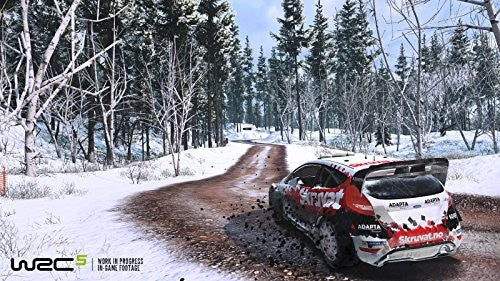 WRC 5 (DE)