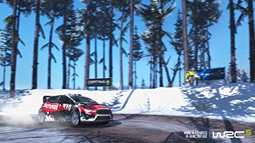 WRC 5 (DE)