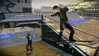 Tony Hawk's Pro Skater 5 (DE)
