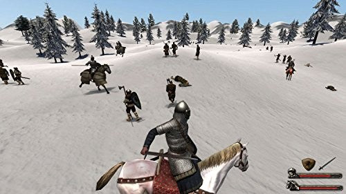 Mount & Blade: Warband (DE)