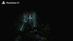 Until Dawn: Rush of Blood (DE)