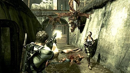 Resident Evil 5 (DE)