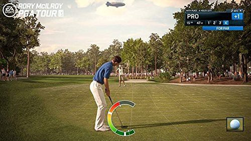 Rory McIlroy PGA Tour (DE)