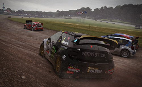 DiRT Rally (DE)