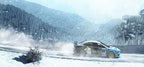 DiRT Rally (DE)