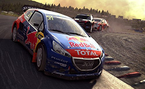 DiRT Rally (DE)