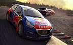 DiRT Rally (DE)