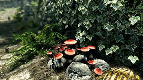 The Elder Scrolls V: Skyrim (DE) — Special Edition