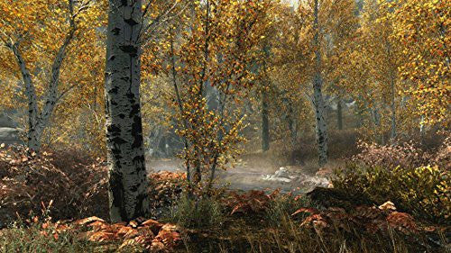 The Elder Scrolls V: Skyrim (DE) — Special Edition