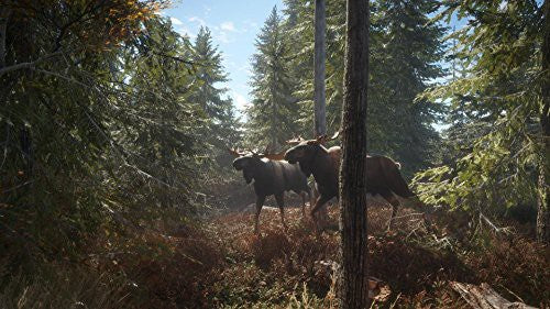 theHunter: Call of the Wild (DE)