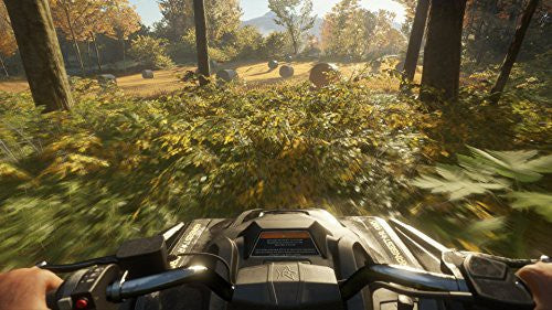 theHunter: Call of the Wild (DE)