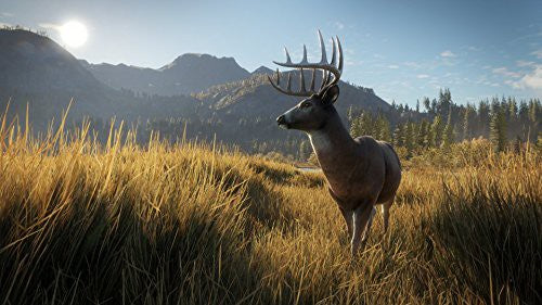 theHunter: Call of the Wild (DE)