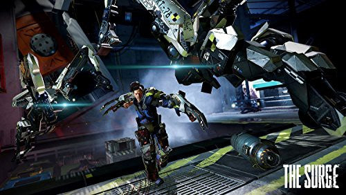 The Surge (DE)