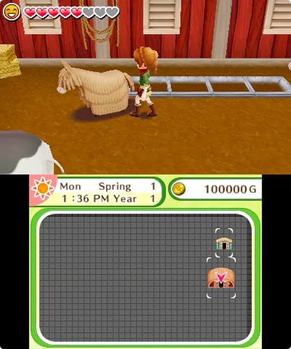 Harvest Moon: Dorf des Himmelsbaumes (DE)