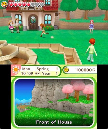 Harvest Moon: Dorf des Himmelsbaumes (DE)