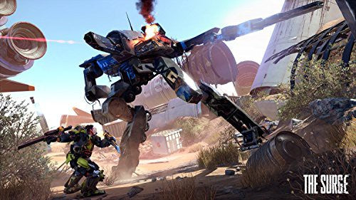 The Surge (DE)