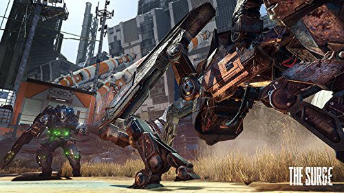 The Surge (DE)