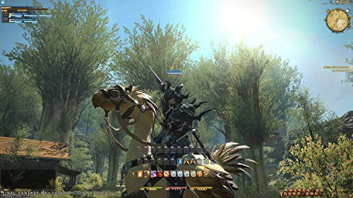 Final Fantasy XIV Online Starter Edition (DE)