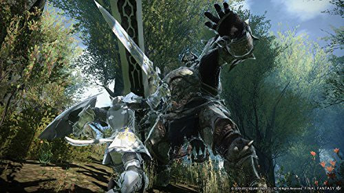 Final Fantasy XIV Online Starter Edition (DE)