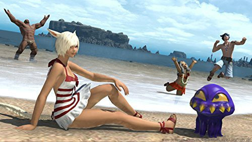 Final Fantasy XIV Online: Stormblood (DE)