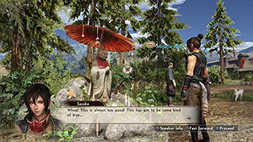 Samurai Warriors: Spirit of Sanada