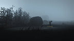 Inside + Limbo (DE)