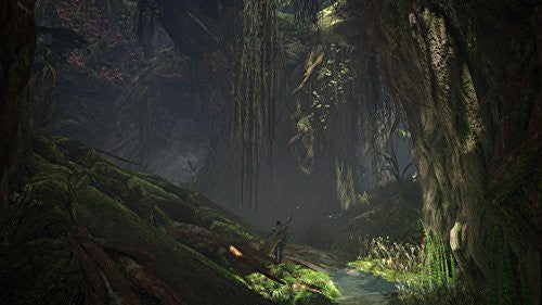 Monster Hunter: World (DE)