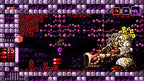 Axiom Verge (DE)
