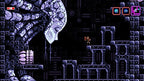 Axiom Verge (DE)