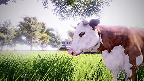 Real Farm (GB)