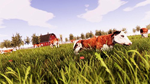 Real Farm (GB)