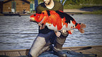 Euro Fishing — Collector's Edition