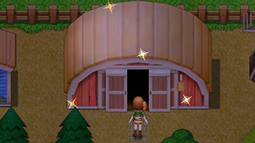 Harvest Moon: Licht der Hoffnung — Special Edition