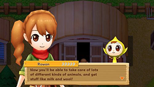 Harvest Moon: Licht der Hoffnung — Special Edition