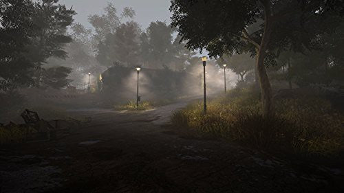 The Town of Light (DE)