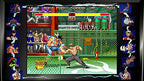 Street Fighter: 30th Anniversary Collection (DE)