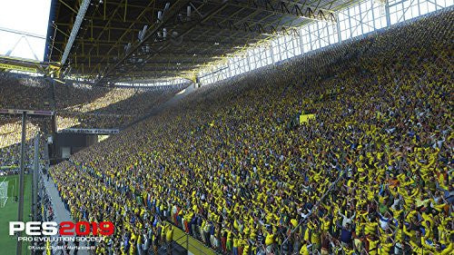 Pro Evolution Soccer 2019 / PES 19 (DE)