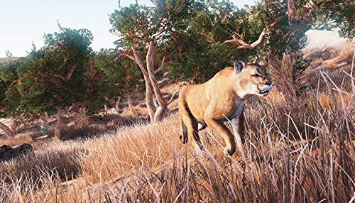 Hunting Simulator (DE)