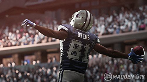 Madden NFL 19 (DE)