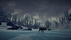 The Long Dark (DE)