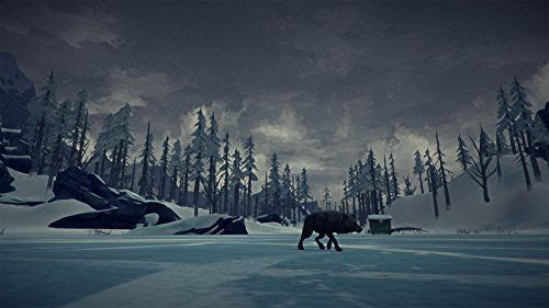 The Long Dark (DE)